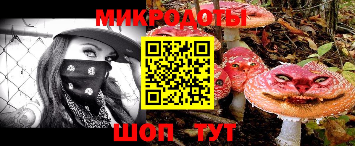 Псилоцибиновые грибы Cubensis Тула